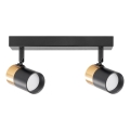 Zuma Line - Spotlight 2xGU10/50W/230V black/gold
