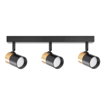 Zuma Line - Spotlight 3xGU10/50W/230V black/gold