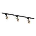 Zuma Line - Spotlight in track system 3xGU10/35W/230V black/gold