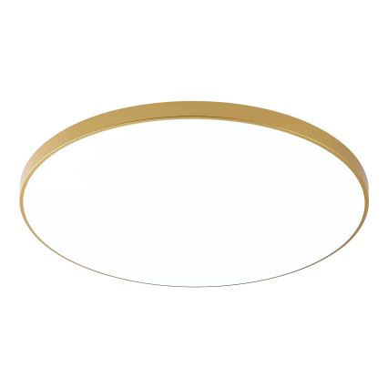Zuma Line - LED Ceiling Light LED/44W/230V dia. 47 cm gold