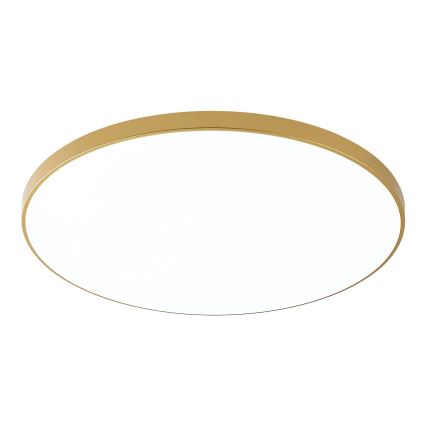 Zuma Line - VERI LED Ceiling Light 32W/230V, Ø 37 cm, Gold finish